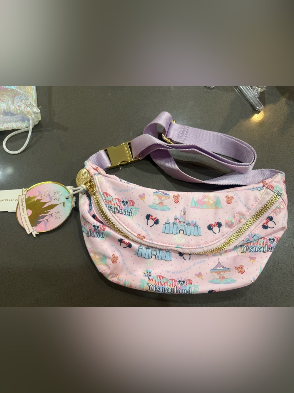 NEW WITH TAGS STONEY CLOVER DISNEYLAND FANNY PACK